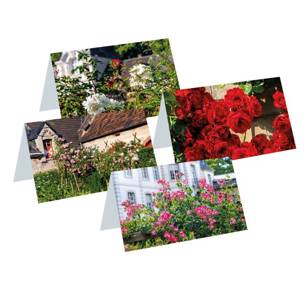 Briefkarten: Rosen im Schlossgarten